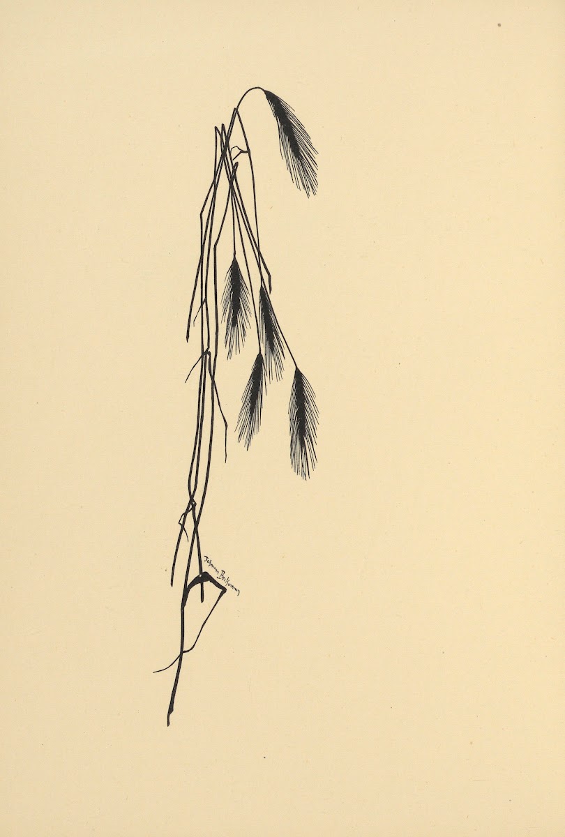 Goldene Ernte Pl08 1930