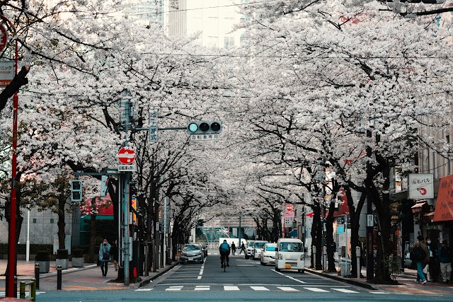 Japan Duty Drawback Guide: Recovering Customs Duty When Goods Are Re-Exported, Returned, or Destroyed Under IOR or ACP