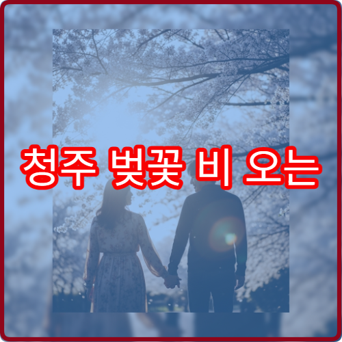 청주 벚꽃 비 오는 날 대체 청남대 실내 카페 뷰 명소