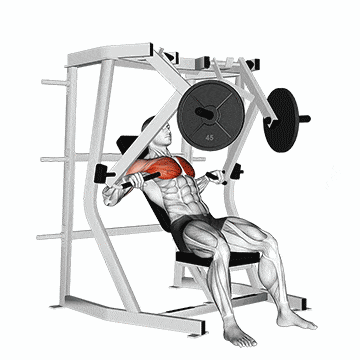 Converging Chest Press