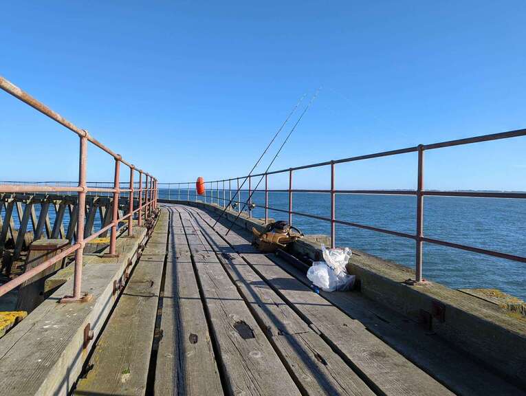 Blyth 1