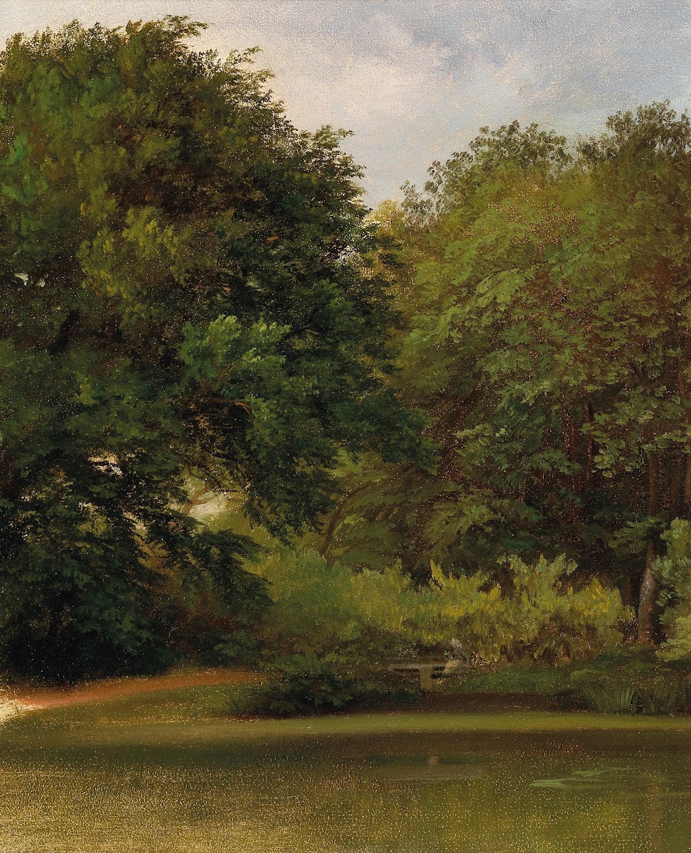 Group of Trees in the Park