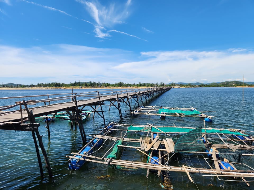 Khám phá Cầu Ông Cọp Phú Yên cây cầu gỗ dài nhất Việt Nam