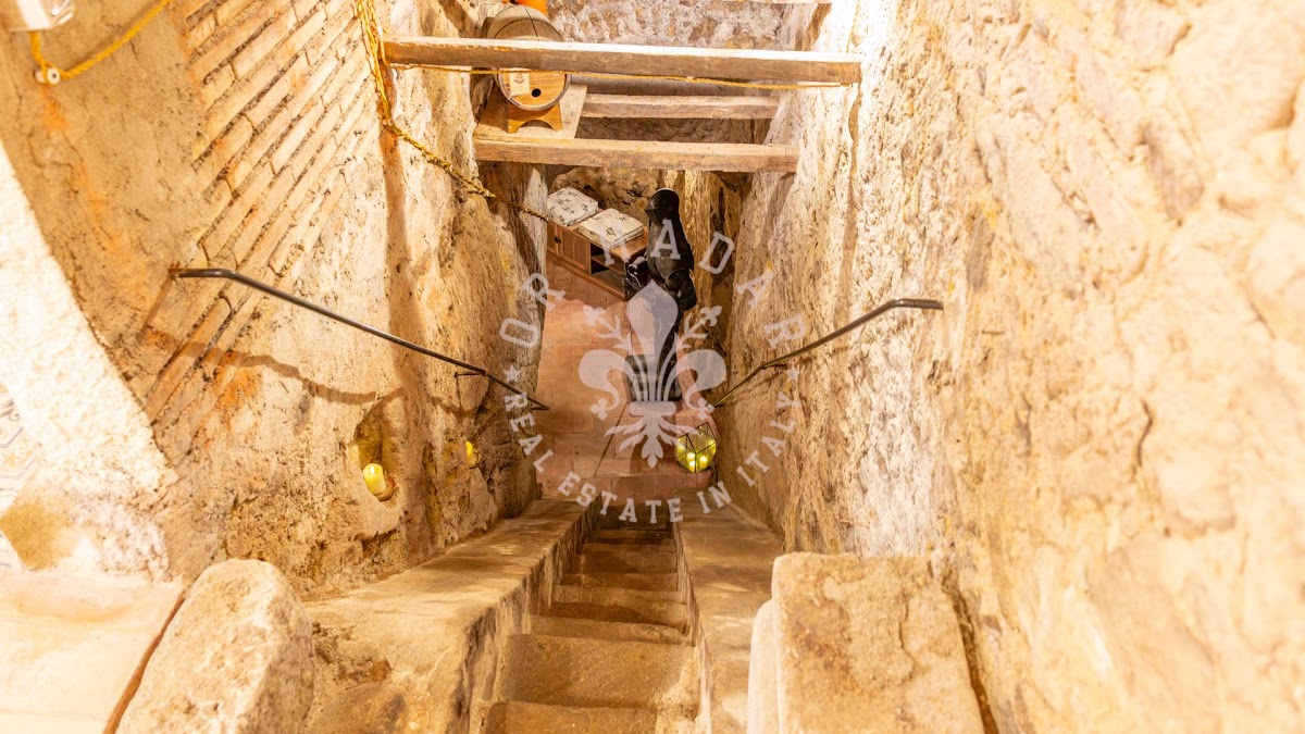 התחדשות (La Rinascita) — 14