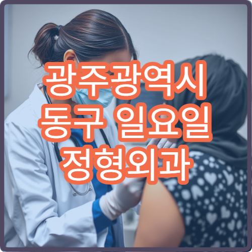 광주광역시 동구 일요일 정형외과 진료 병원 찾기