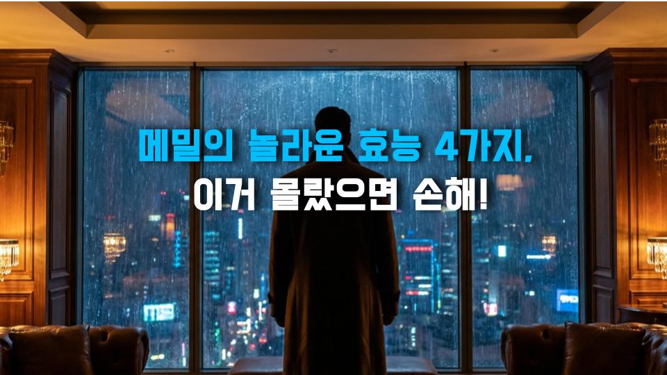 메밀의 놀라운 효능 4가지, 이거 몰랐으면 손해!