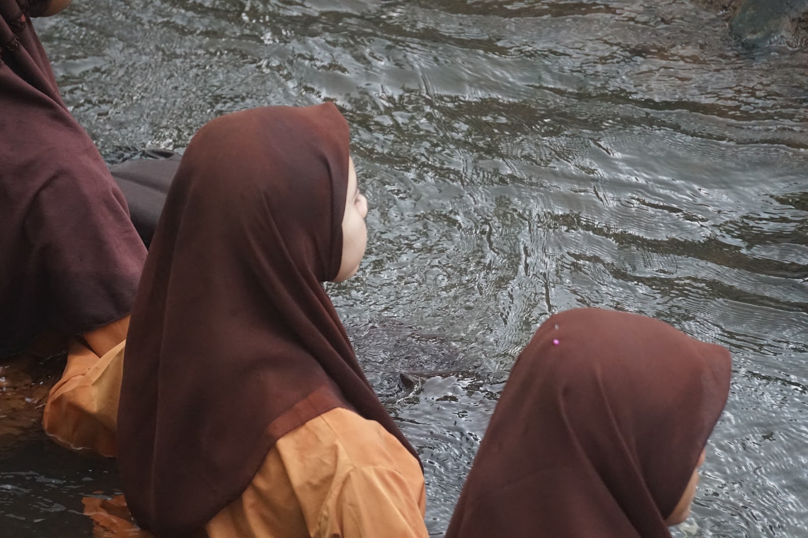 Foto Kegiatan
