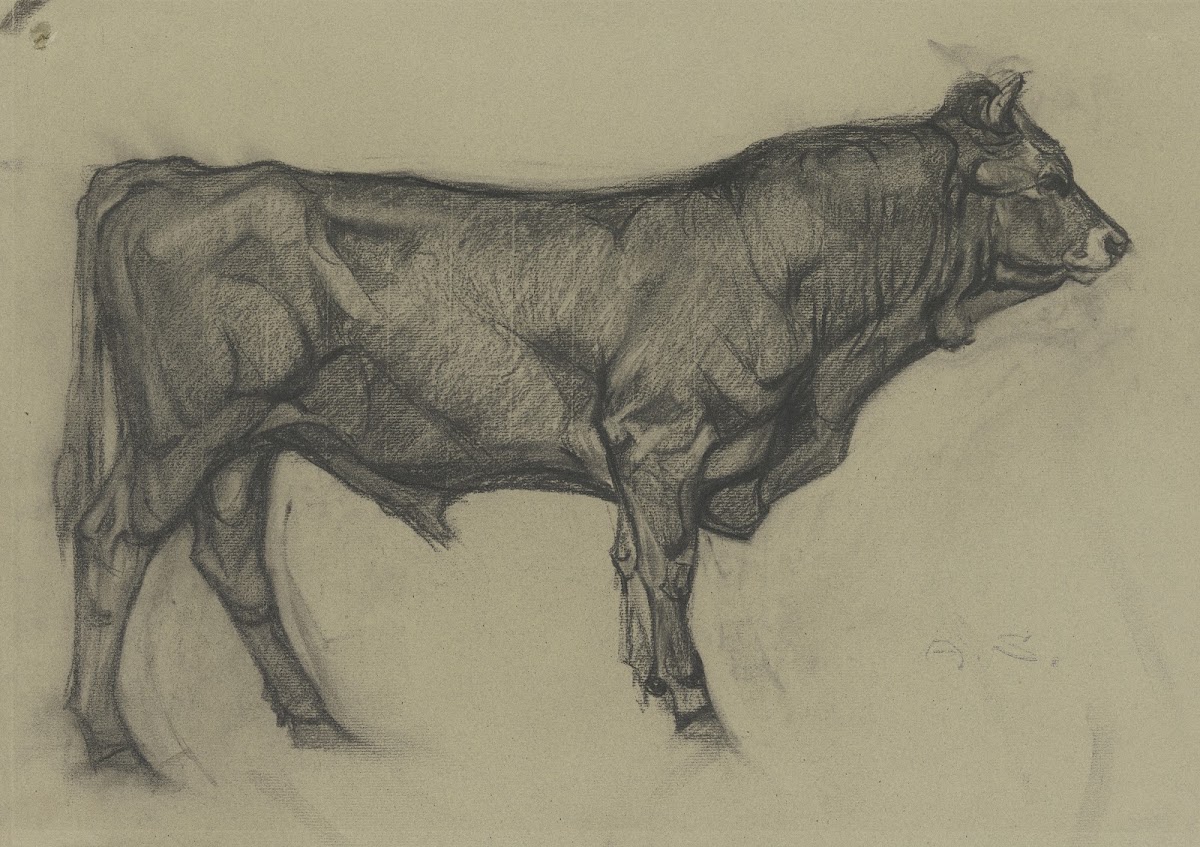 Stier nach rechts stehend
