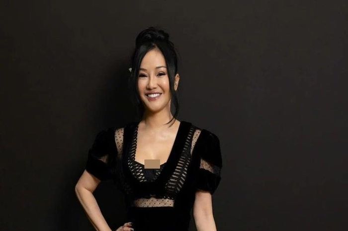 Diva Hồng Nhung nhìn lại hơn một năm điều trị bệnh ung thư - Báo Tri thức &amp; Cuộc sống