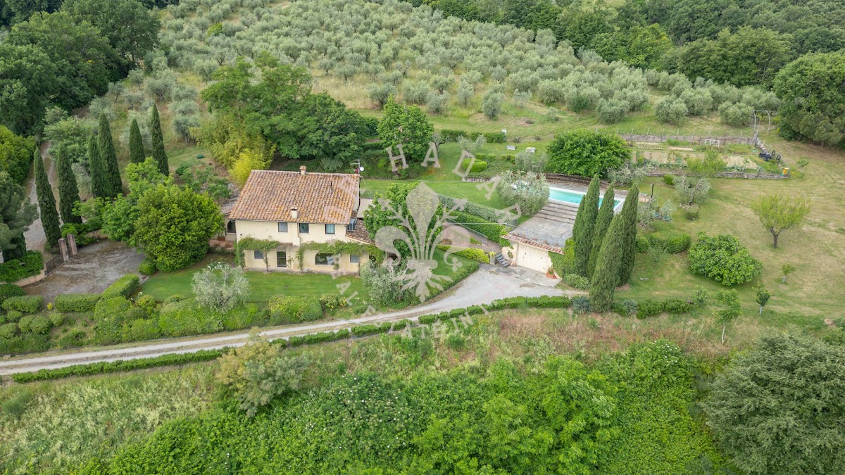 וילה דלו זופו (Villa dello Zoppo) — 14