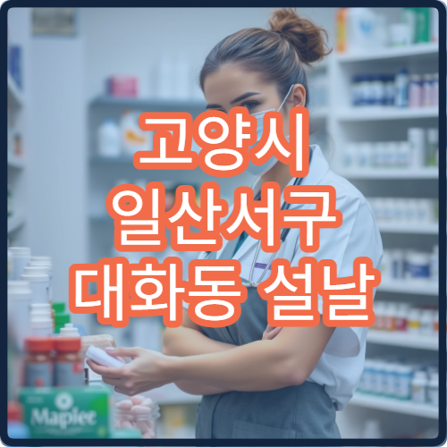 고양시 일산서구 대화동 설날 명절 연휴 운영 중인 약국 당번