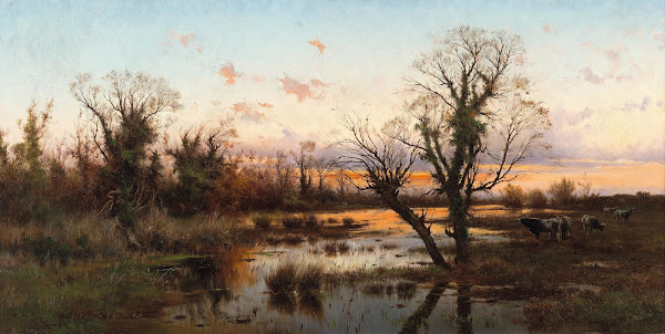 Water Buffalos in the Roman Campagna