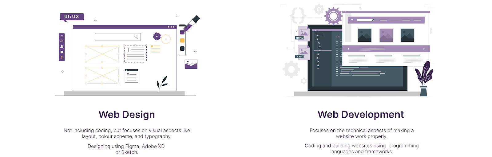 WebDevWebDesign.png