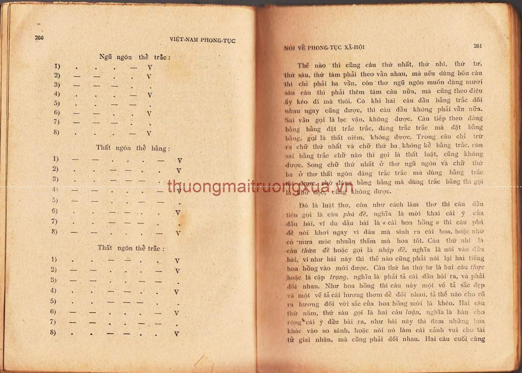 Báo : Khăn quàng đỏ (số 44 - năm thứ 6, 1982) - Trang 129