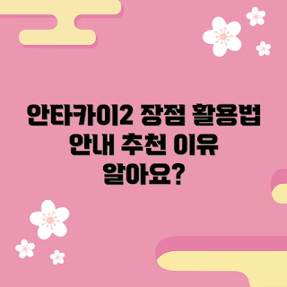 안타카이2 추천, 안타카이2 활용법, 2023 안타카이2 트렌드, 안타카이2 후기, 안타카이2 장점