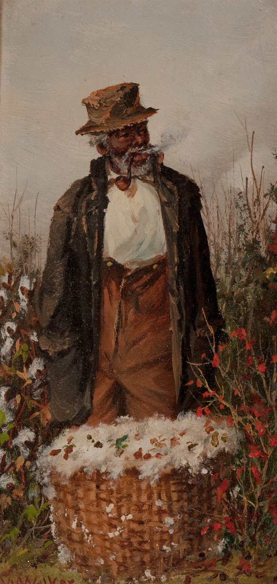 Man in Cotton Field