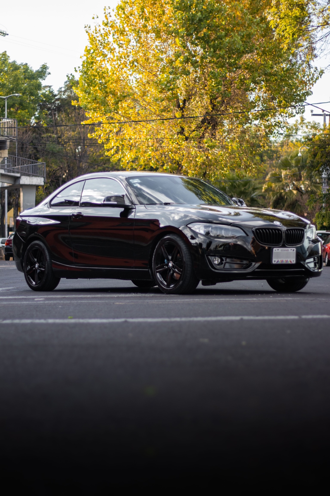 BMW 220i · Baño de Pintura 3