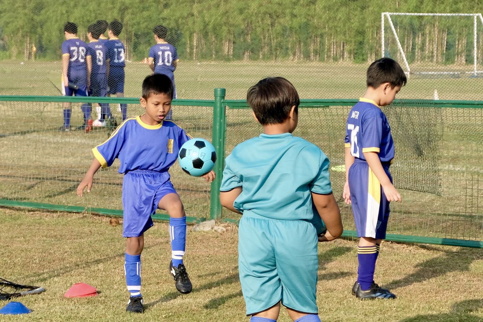 Tigers Academy gallery photo