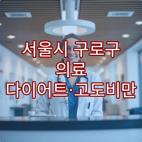 서울시 구로구 의료 다이어트·고도비만 치료 병원 추천