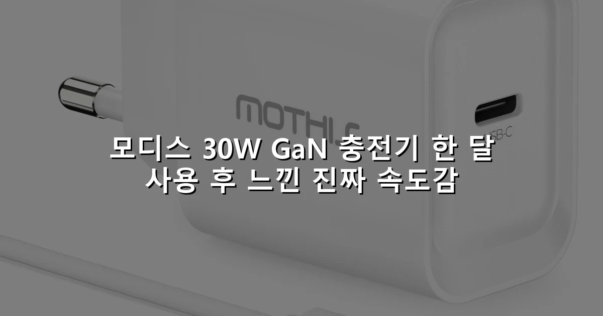 모디스 30W GaN 충전기 한 달 사용 후 느낀 진짜 속도감