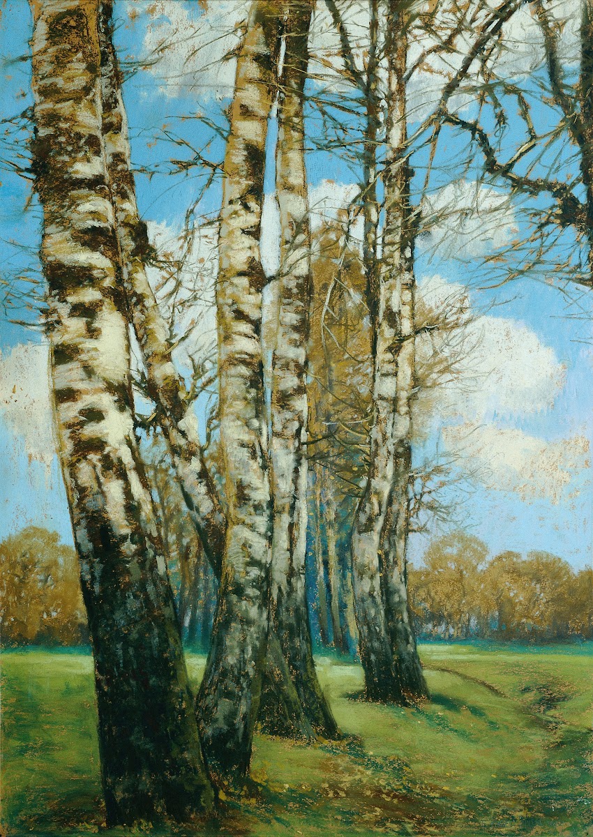 Birken 1907