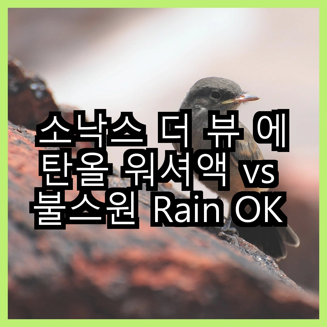 소낙스 더 뷰 에탄올 워셔액 vs 불스원 Rain OK 발수코팅, 어떤 선택이 더 효과적일까? 썸네일