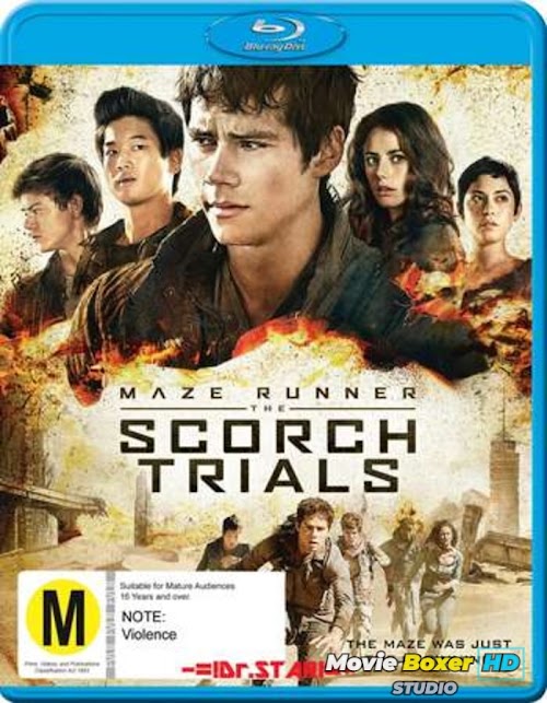 Maze Runner: The Scorch Trials (2015) Dual Audio Hindi ORG 720p BluRay x264 1.2GB ESubs - MovieBoxerHD