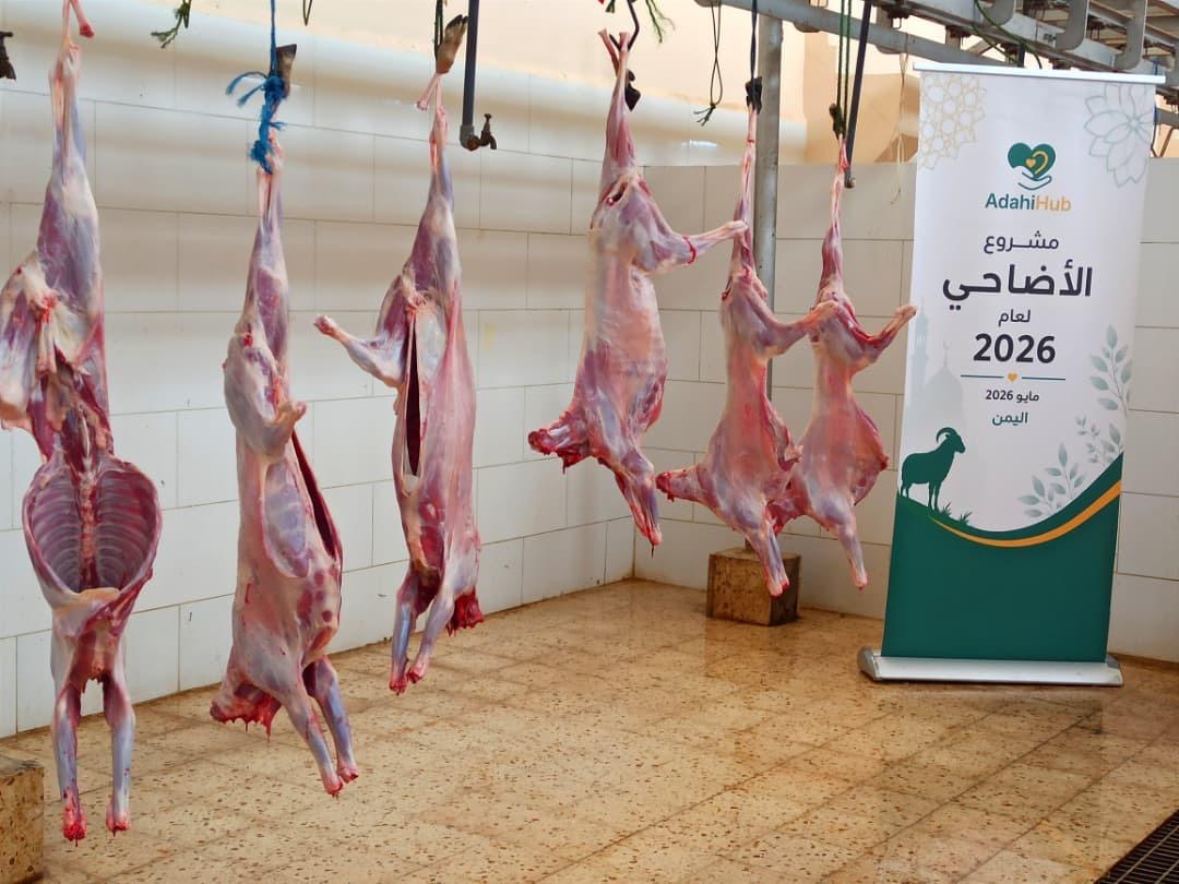Des enfants reçoivent des portions de viande sur un site de distribution au Yémen
