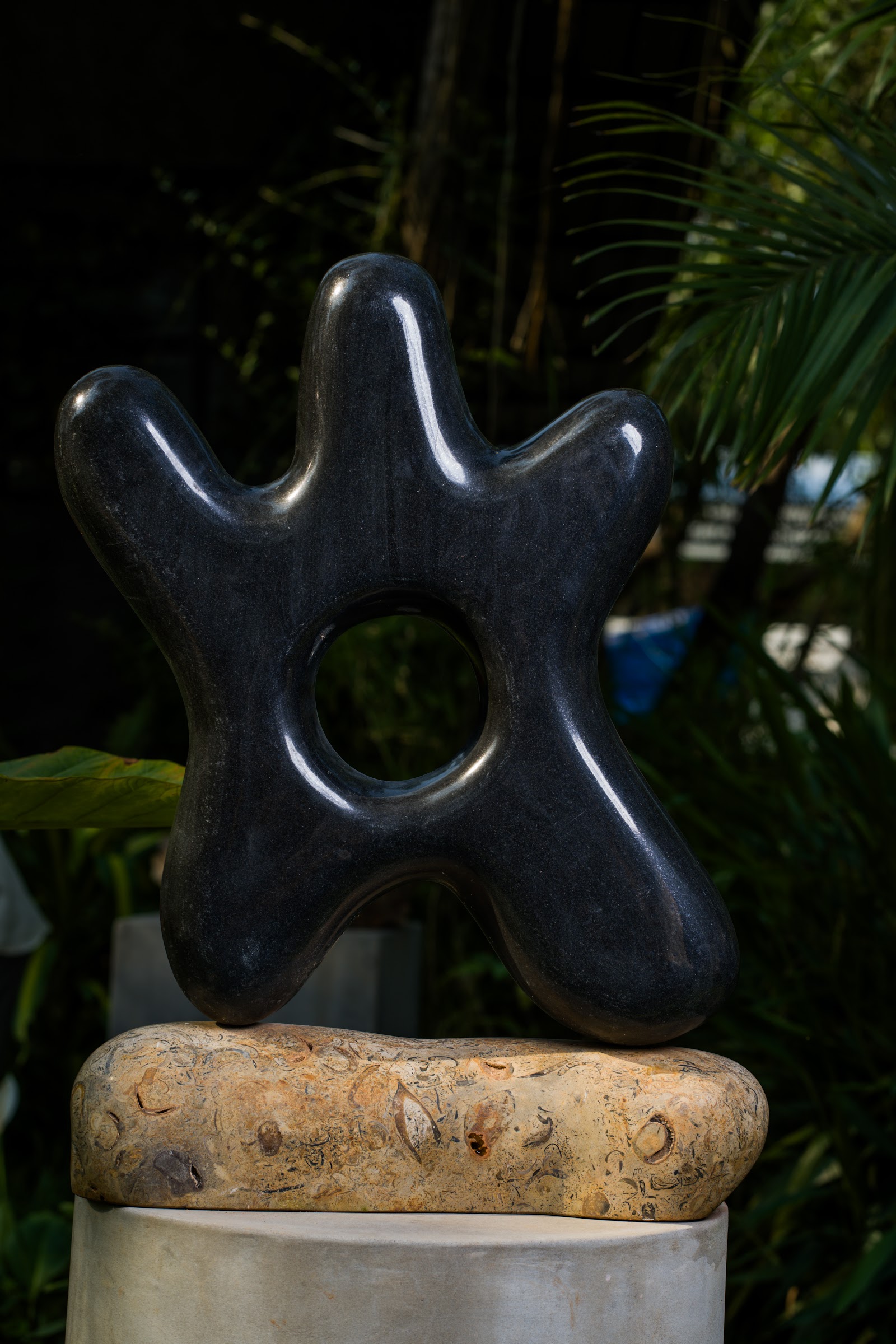 Black Amoeba, studio view 4