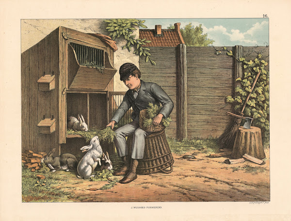 Rabbits 1910