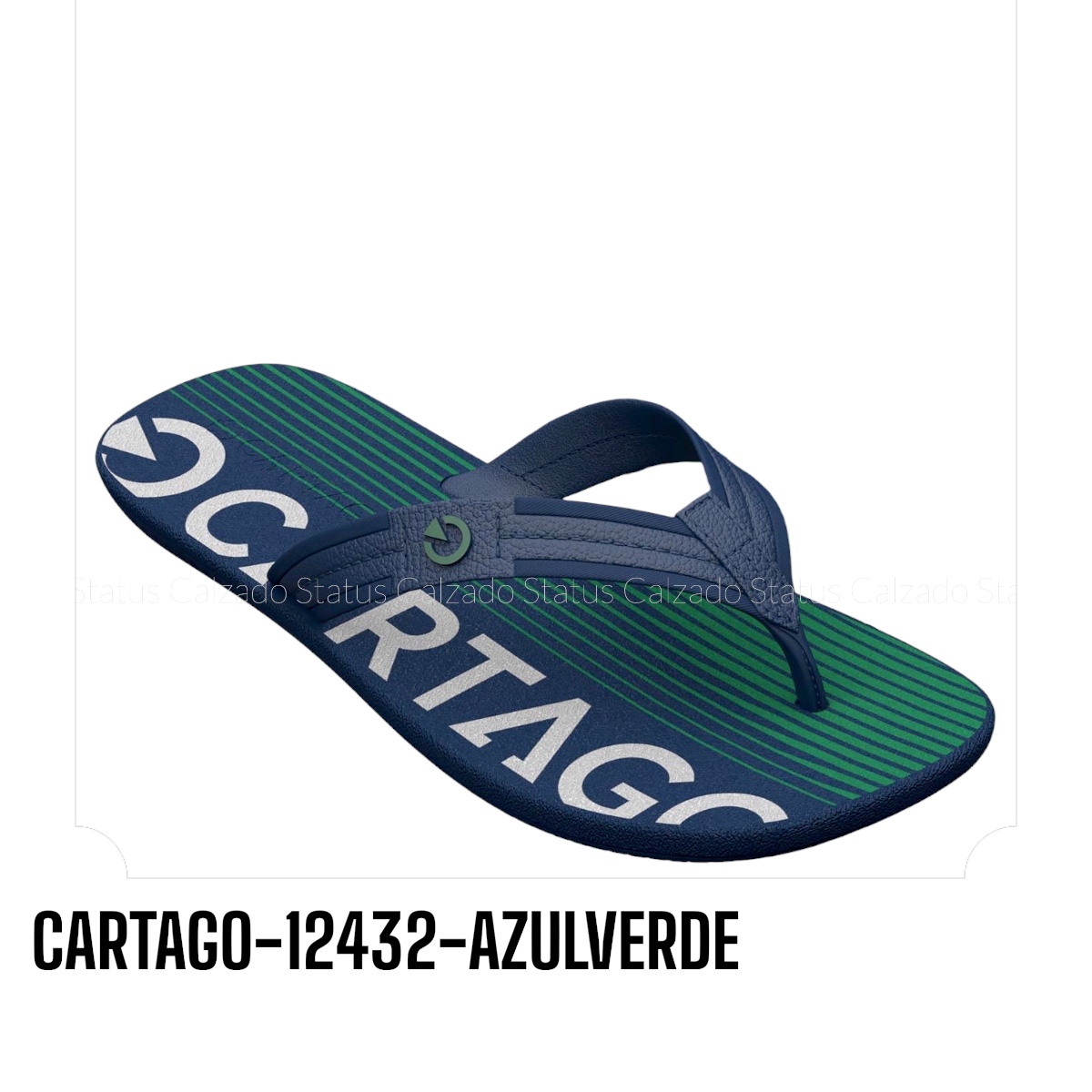 CARTAGO-12432-AZULVERDE