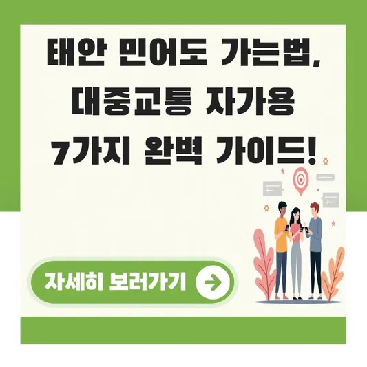 태안 민어도 가는법, 대중교통 자가용 7가지 완벽 가이드!