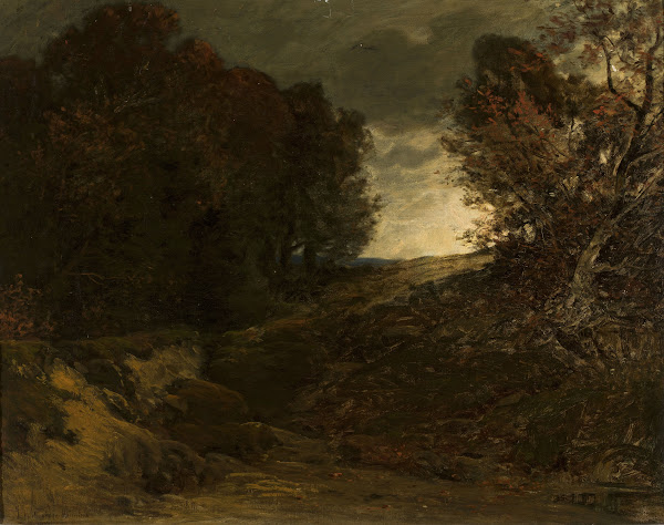 Forest landscape with a creek