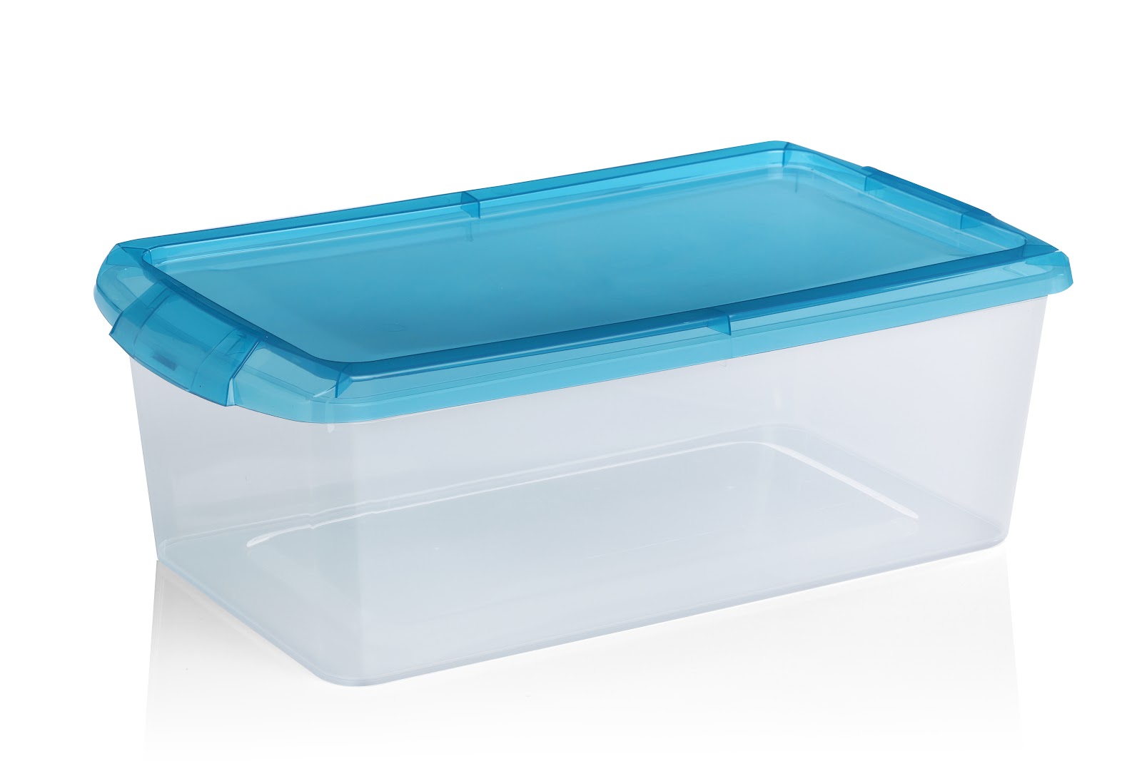 Org 6l Tapa Color