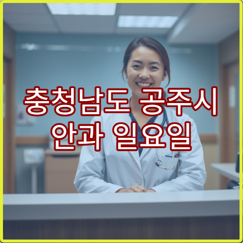 충청남도 공주시 안과 일요일 진료 병원 안구건조증·시력 저하 상담 가능