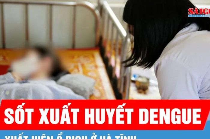 Hà Tĩnh xuất hiện ổ dịch sốt xuất huyết Dengue - Báo Sài Gòn Giải Phóng