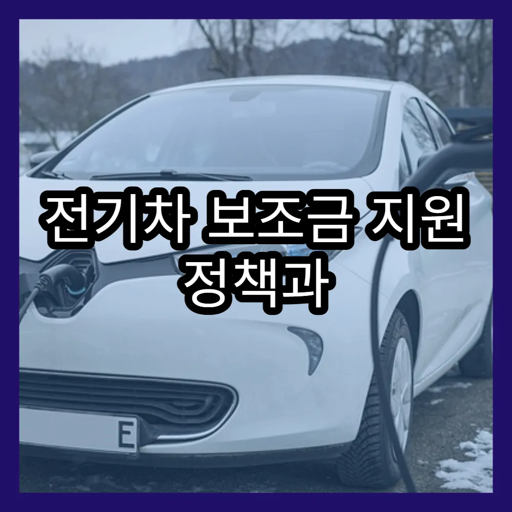 전기차 보조금 지원 정책과 2025년 지원 대상 차량 선정 기준
