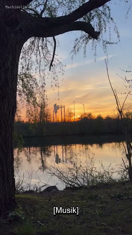 Music Video (nature)