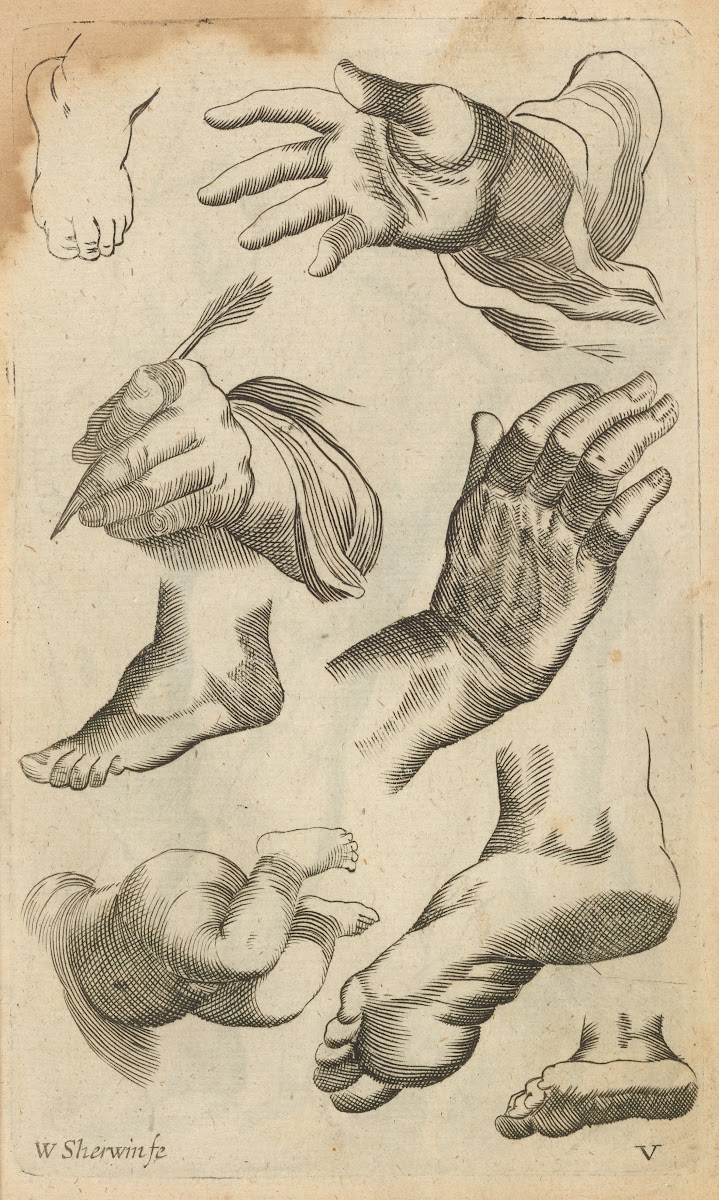 Plate V Artist study of hands and feet 1685