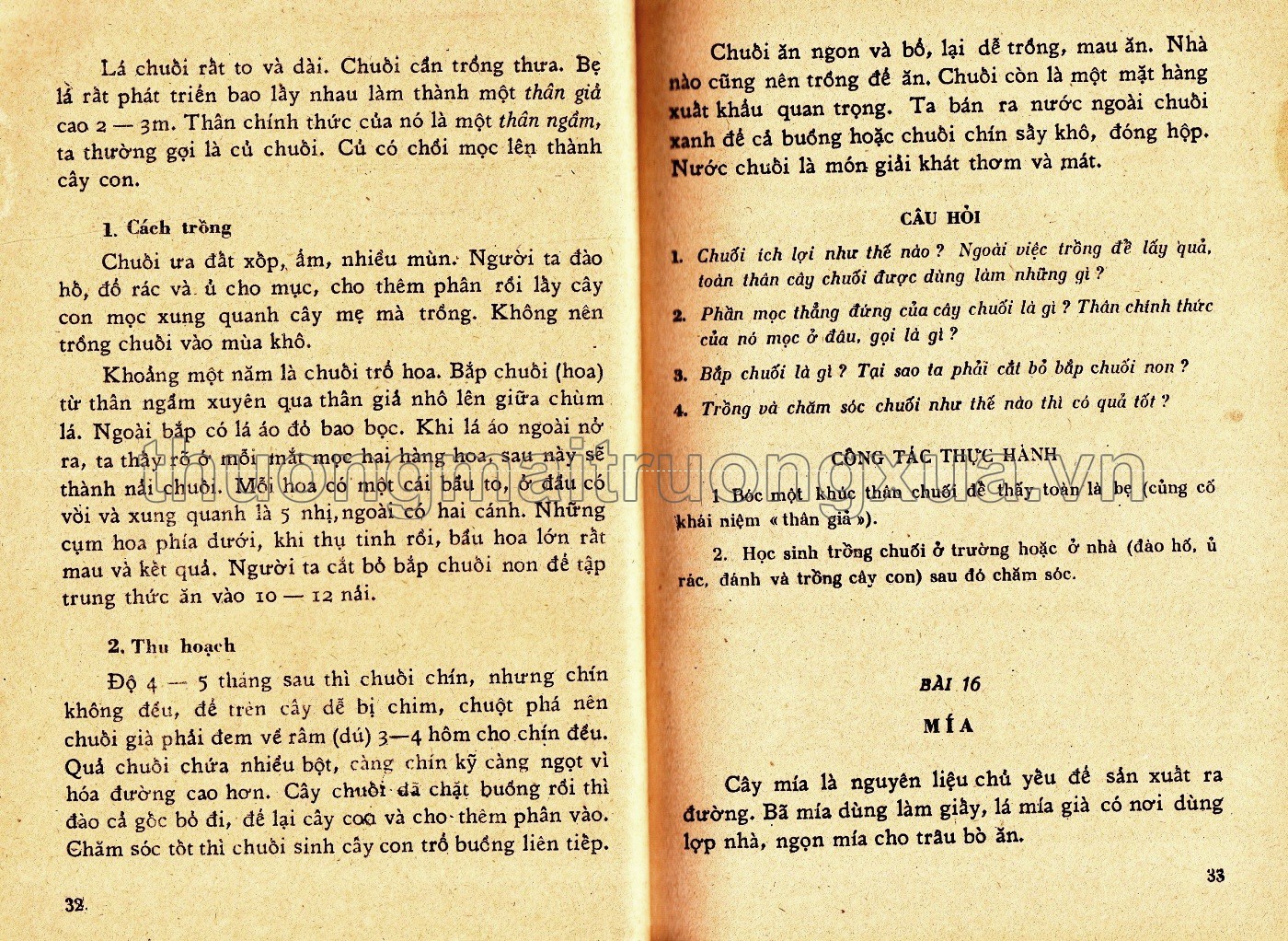 Khoa học thường thức lớp 5 phổ thông - Trang 116