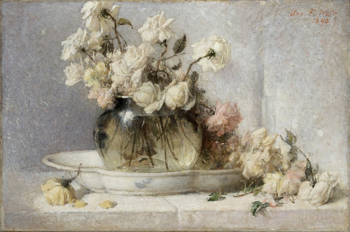 Roses 1898