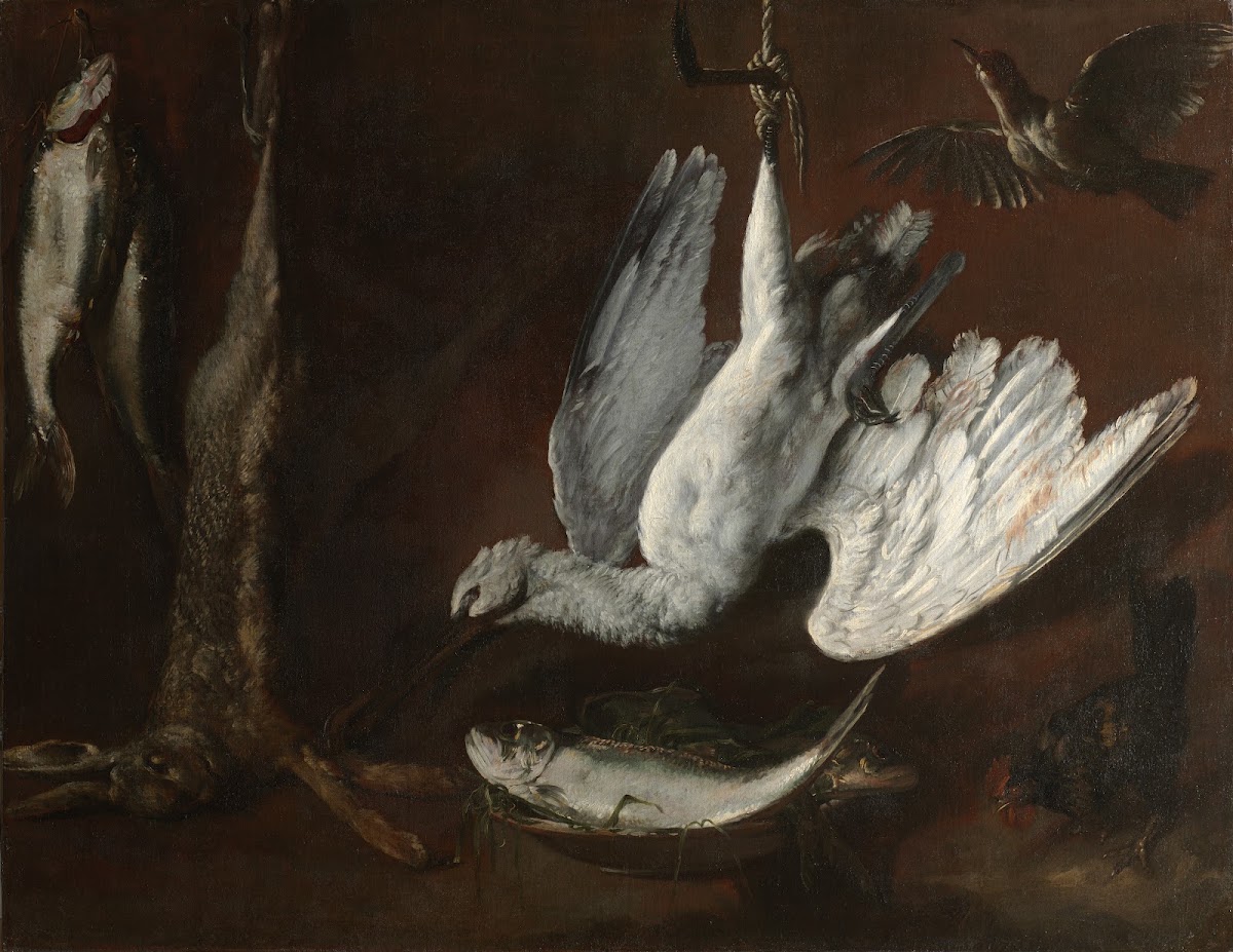 Hare Spoonbill and Fish mid 1600s