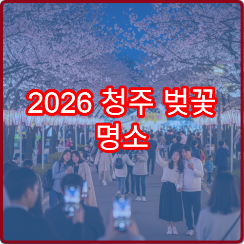2026 청주 벚꽃 명소 순위 무심천 평일 오전 방문 최적시간