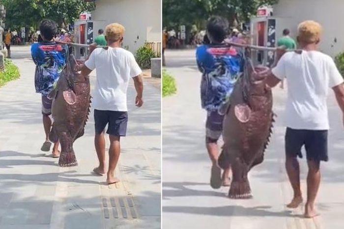 Ngư dân bắt được con cá mú khổng lồ trên biển - Tạp chí Người Đưa Tin