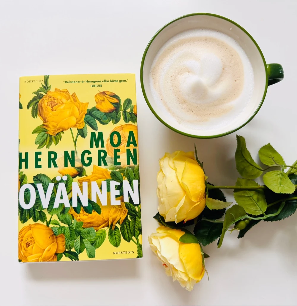 Ovänner av Moa Herngren