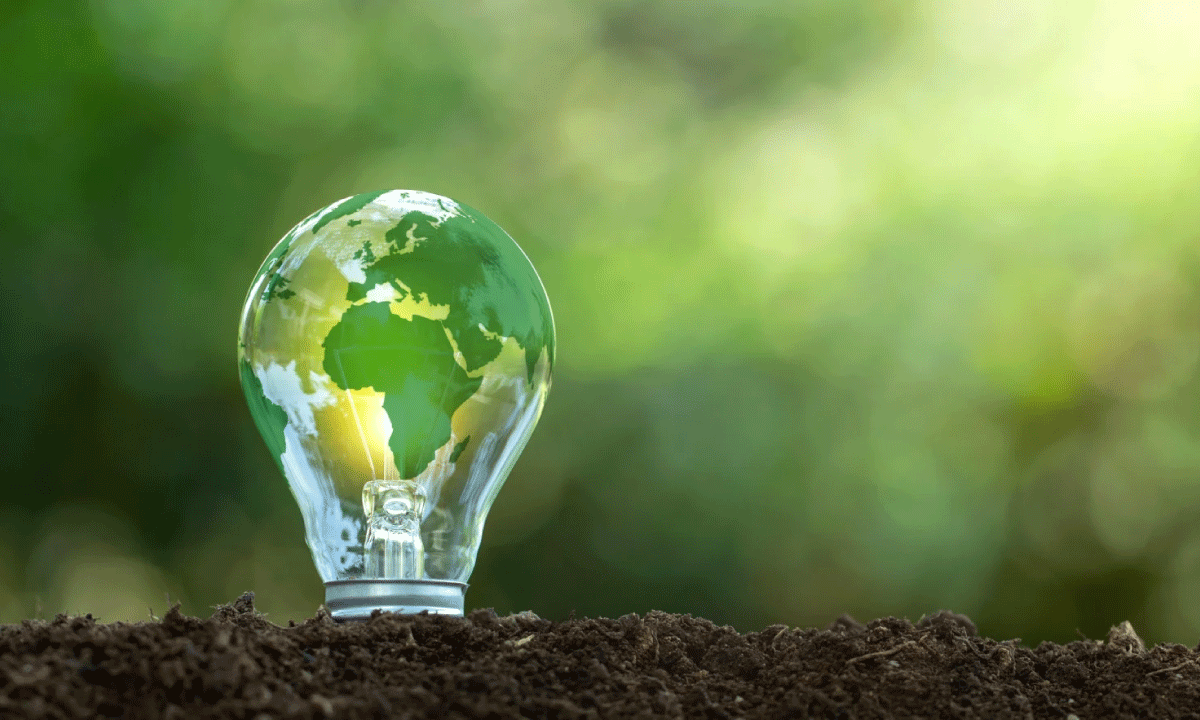 Qué deben considerar las empresas ante la energía verde rentable