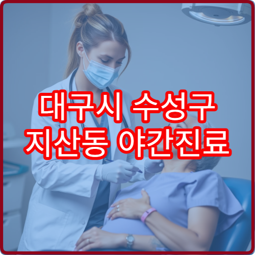 대구시 수성구 지산동 야간진료 내과 진료