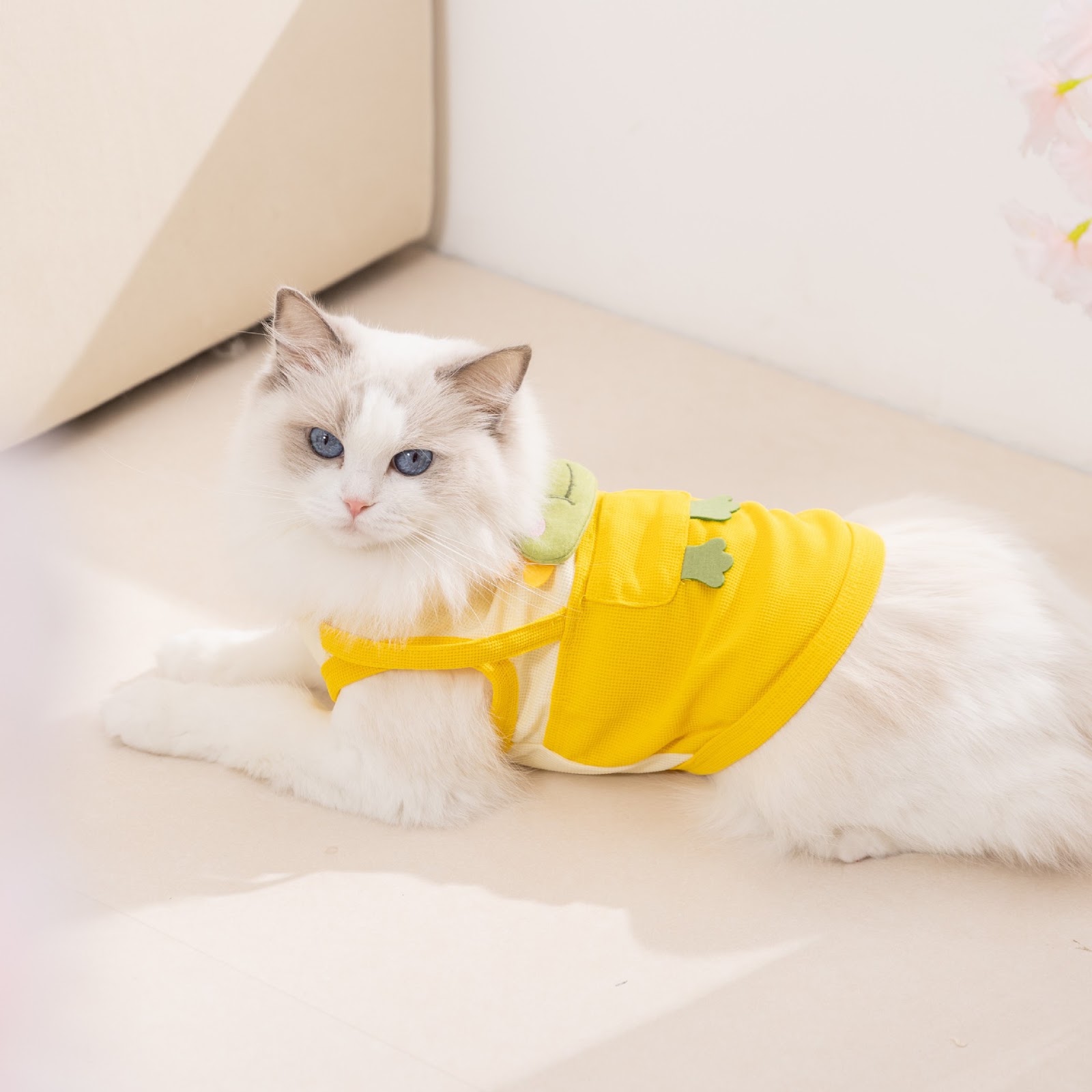 Sleeveless vest for cats and dogs, spring/summer