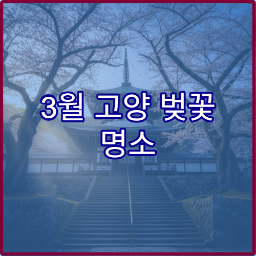 3월 고양 벚꽃 명소 대중교통 버스 초보 이동 안내