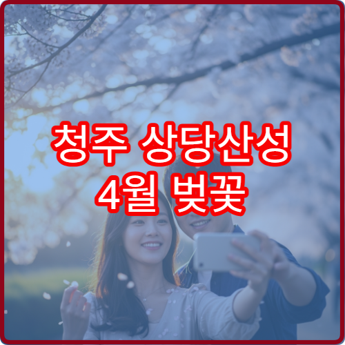 청주 상당산성 4월 벚꽃 야경 성벽 위 로맨틱 포인트 TOP